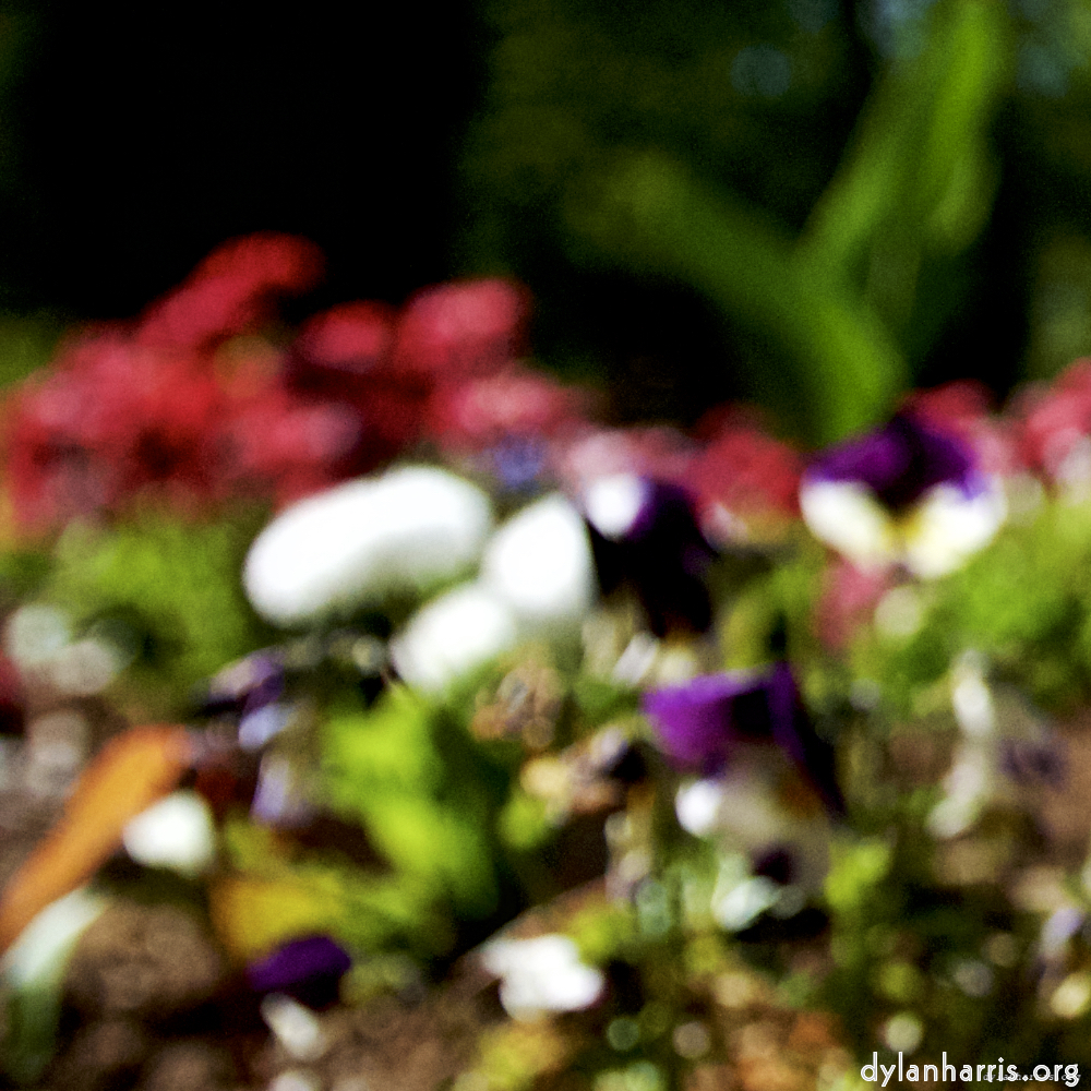 Image: Image 'parc (xvi) 4'.