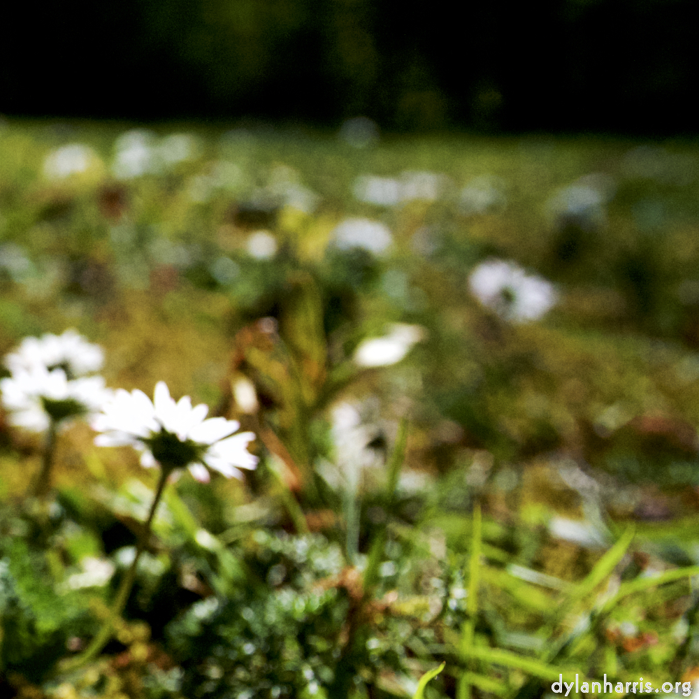 Image: Image 'parc (xvi) 5'.