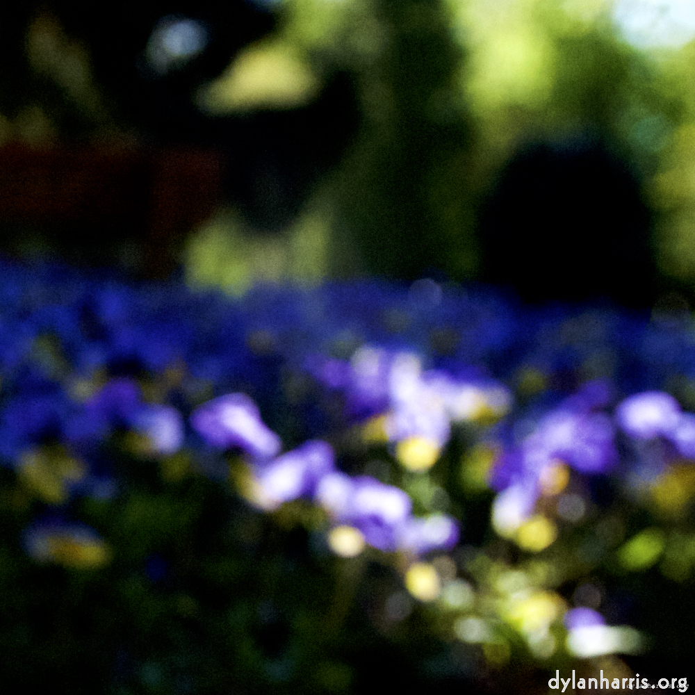 Image: Image 'parc (xvi) 6'.