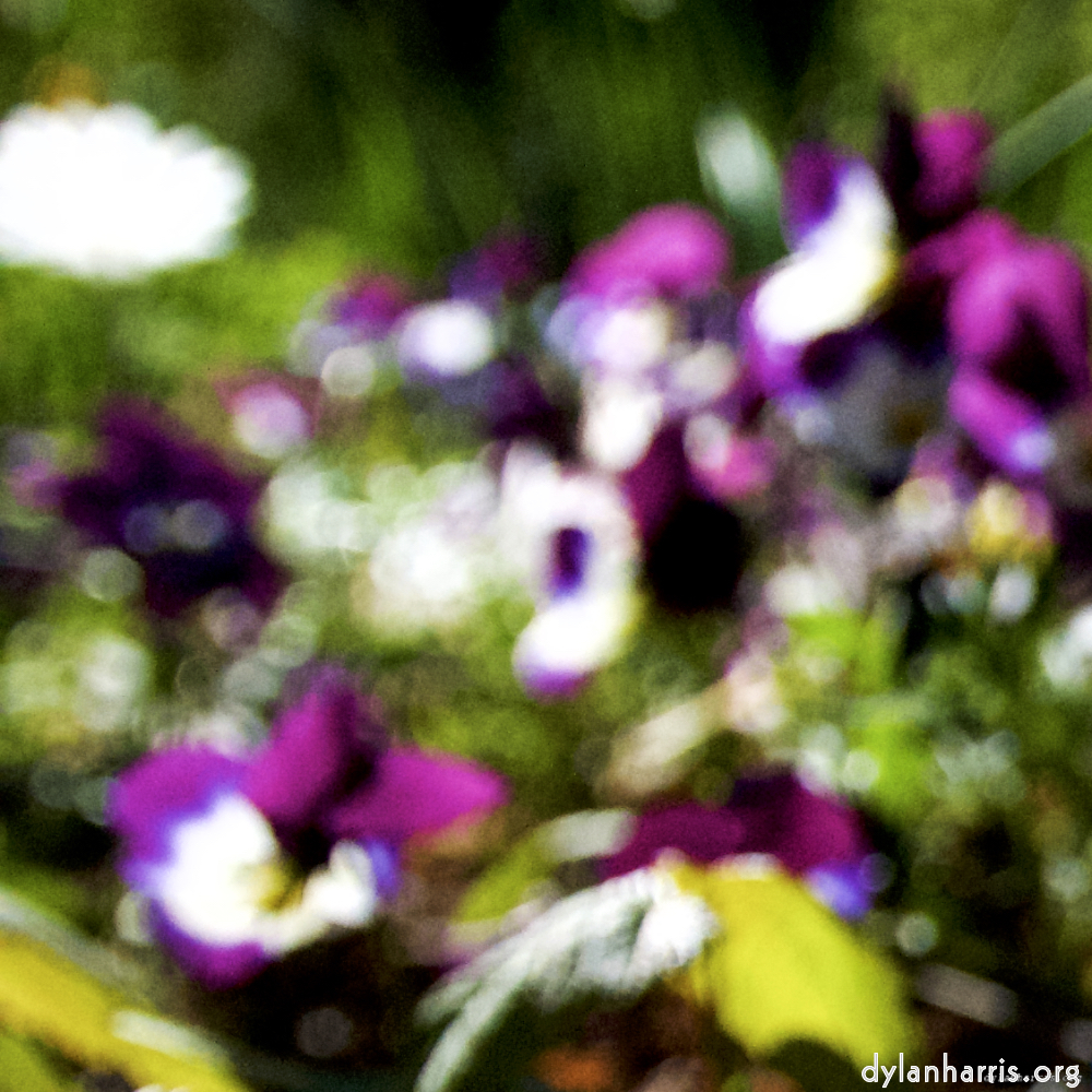 Image: Image 'parc (xvi) 8'.