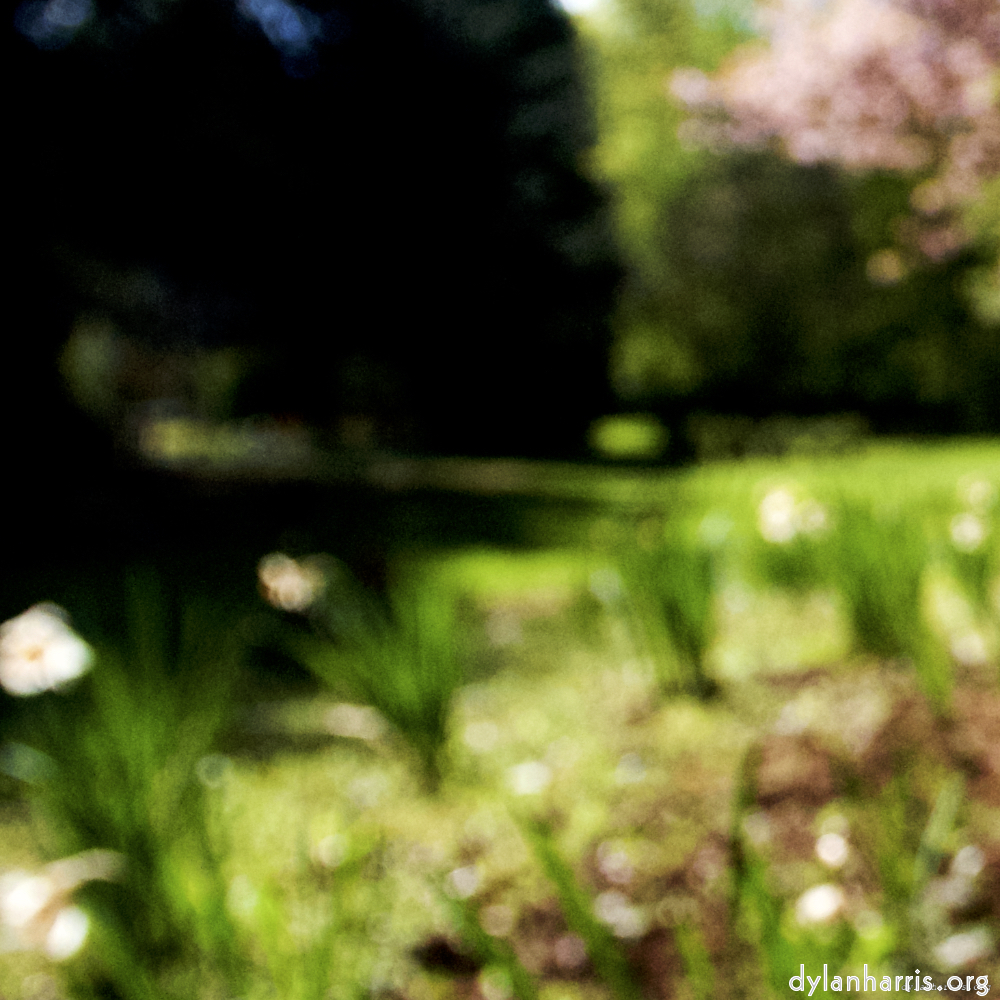 Image: Image 'parc (xvii) 1'.