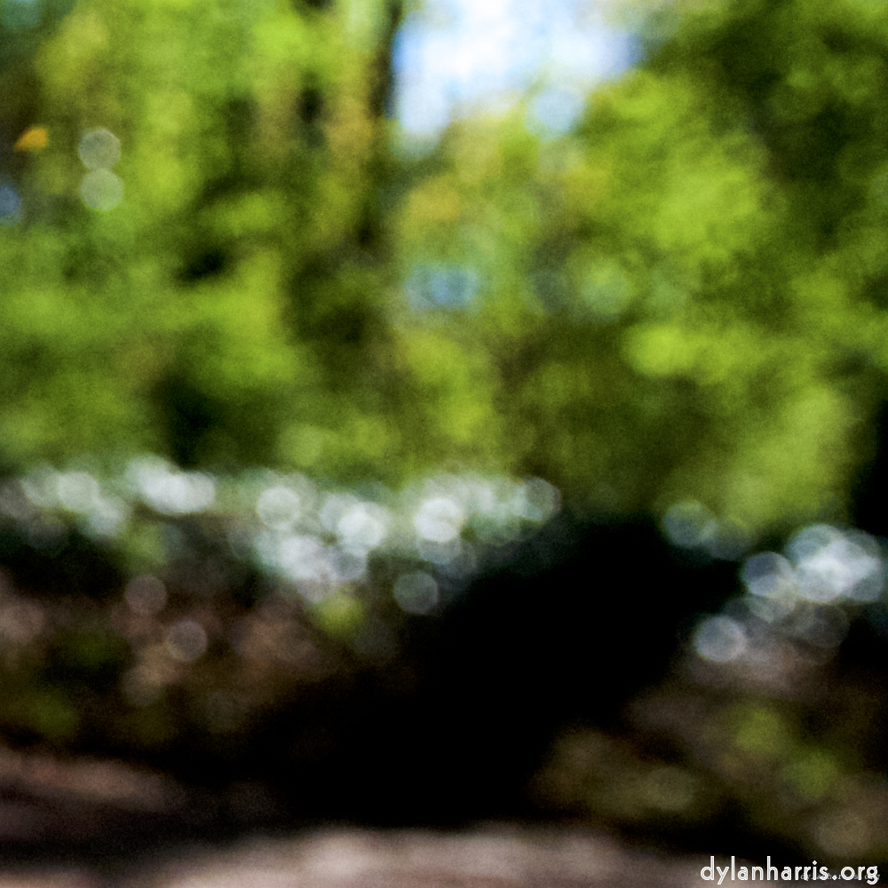 Image: Image 'parc (xvii) 6'.