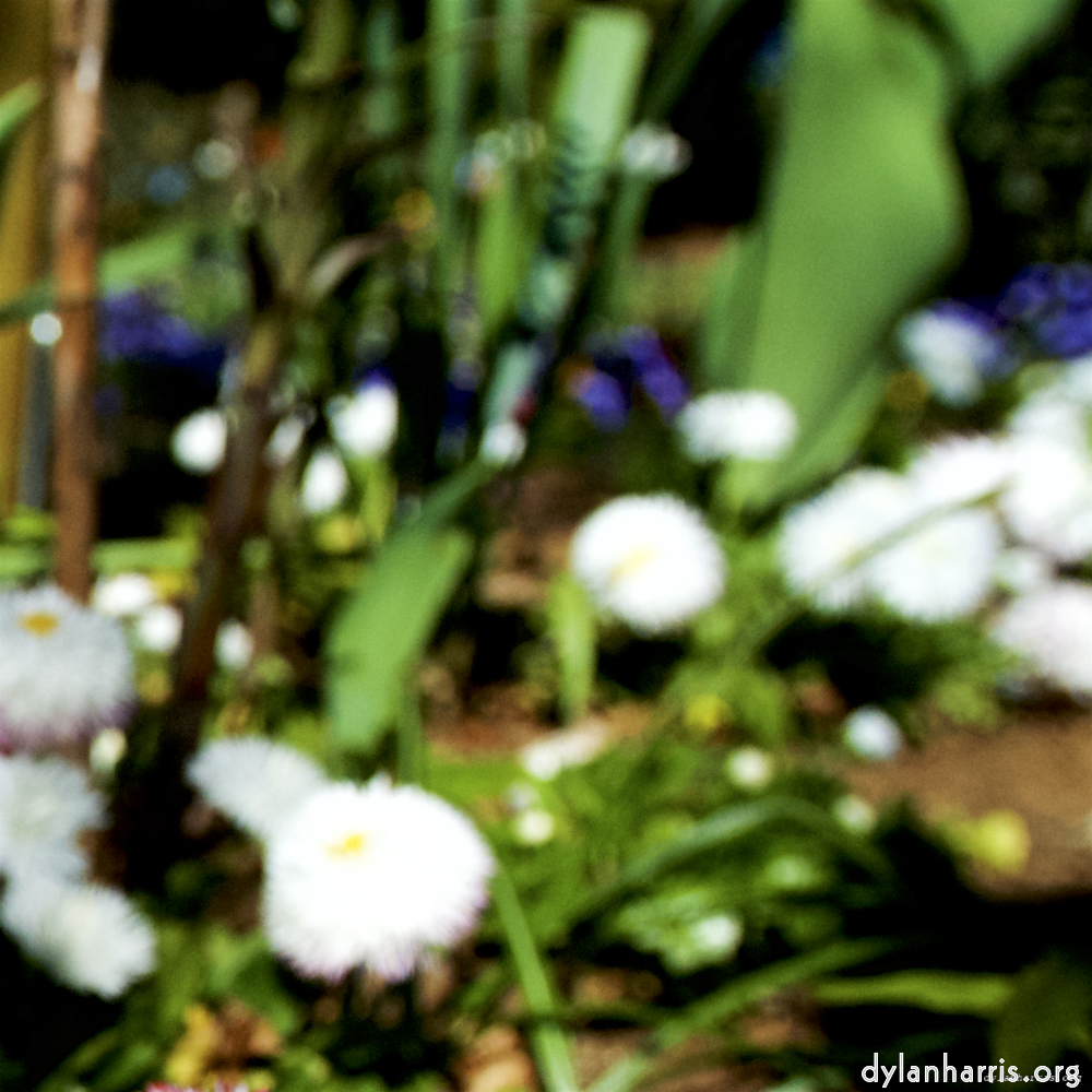 Image: Image 'parc (xvii) 9'.