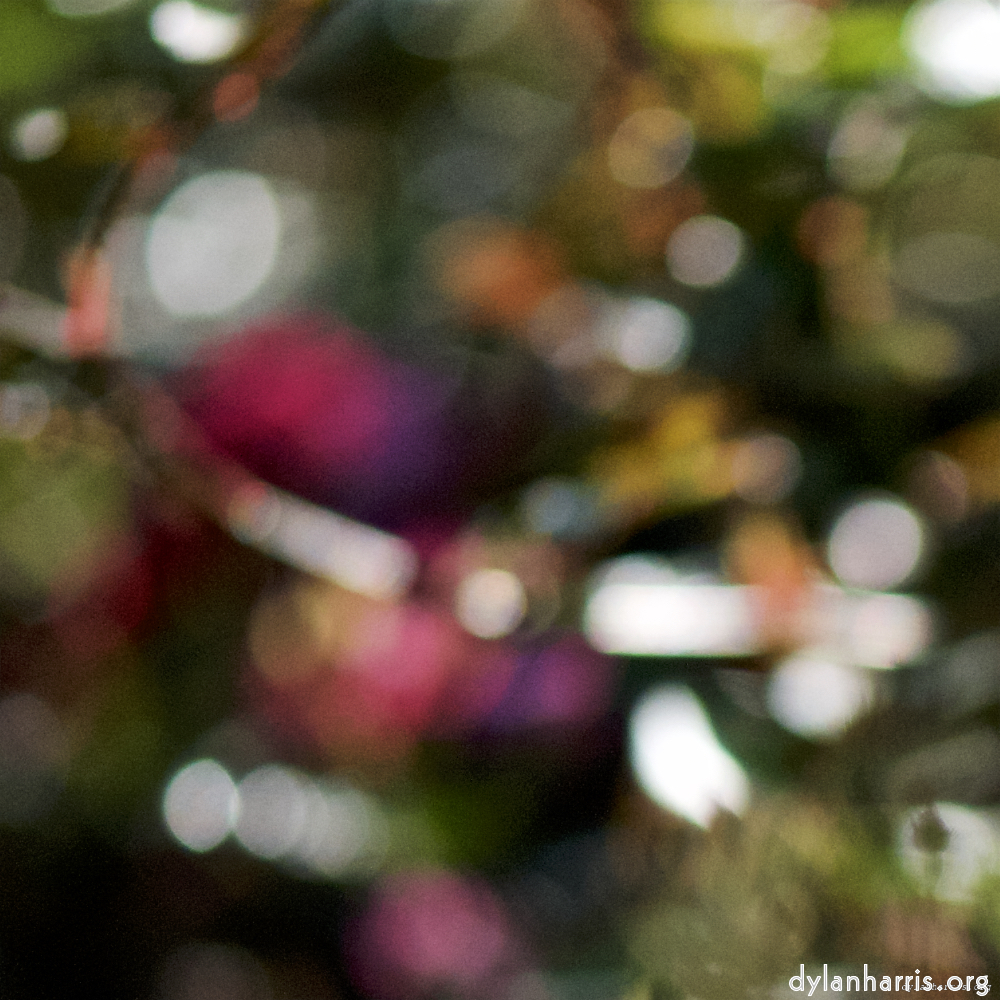 Image: Image 'escher blummen (cii) 1'.