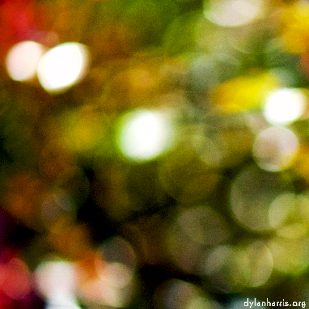 image: This is &lsquo;flowers of esch (cii) 4&rsquo;.