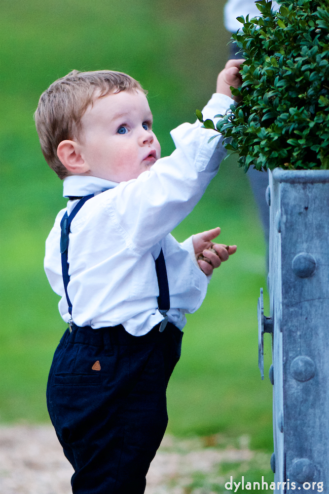 image: This is &lsquo;family (xx) 4&rsquo;.