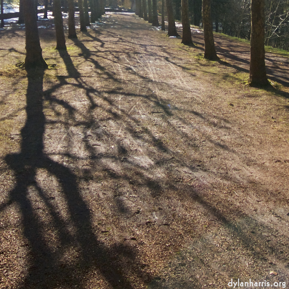 Image: Image 'parc (xxiii) 1'.