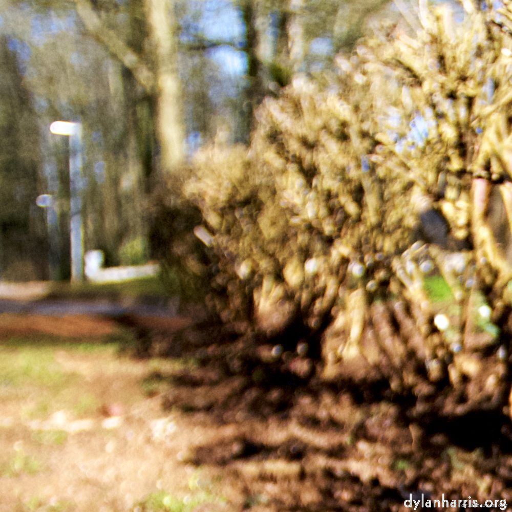 Image: Image 'parc (xxiii) 2'.