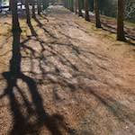 Image: First image from the photoset 'parc (xxiii)'.