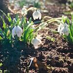 Image: Third image from the photoset 'parc (xxiii)'.