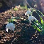 Image: Sixth image from the photoset 'parc (xxiii)'.