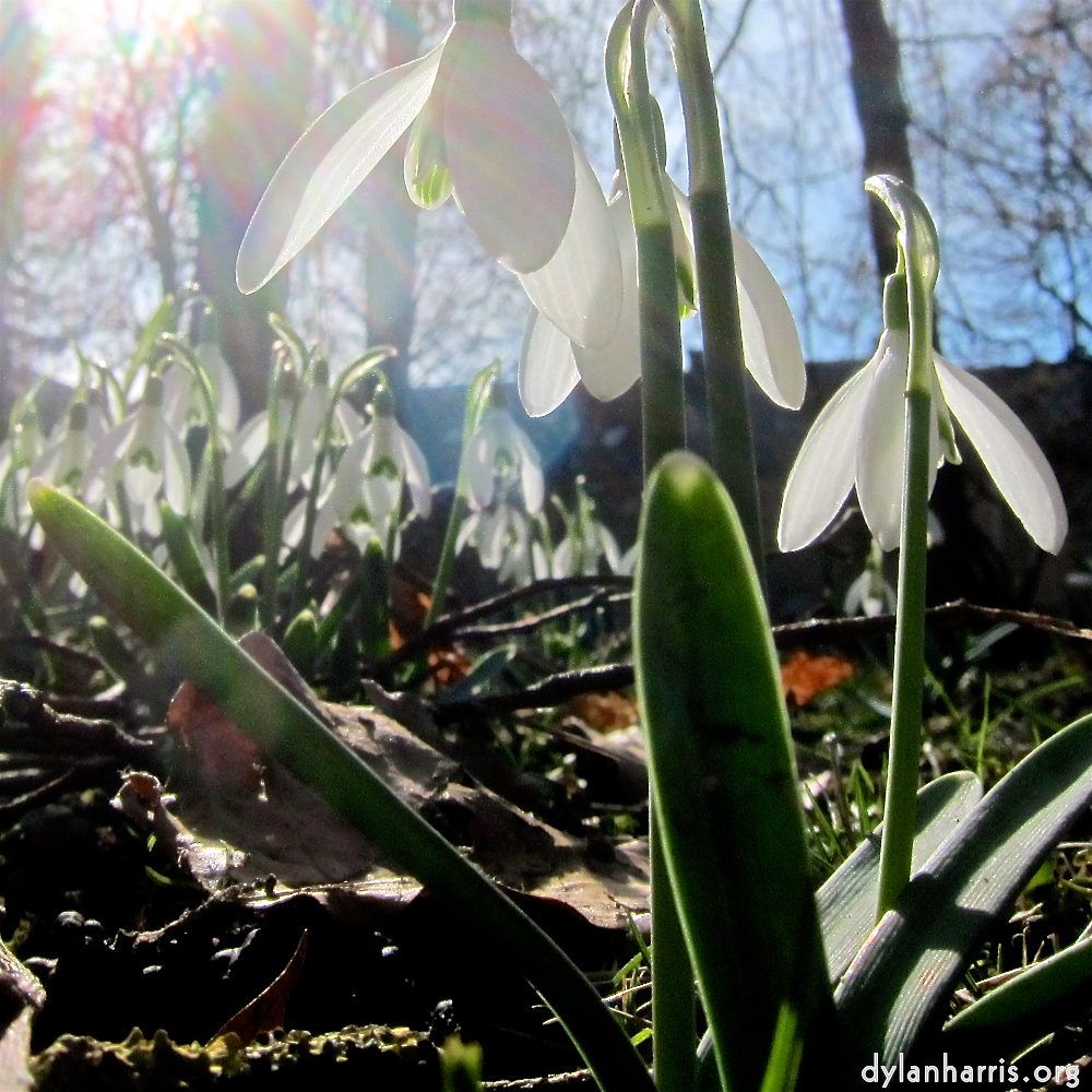 image: d&rsquo;Fr&eacute;ujoer, seng erster Schn&aacute;igl&auml;ckelchen