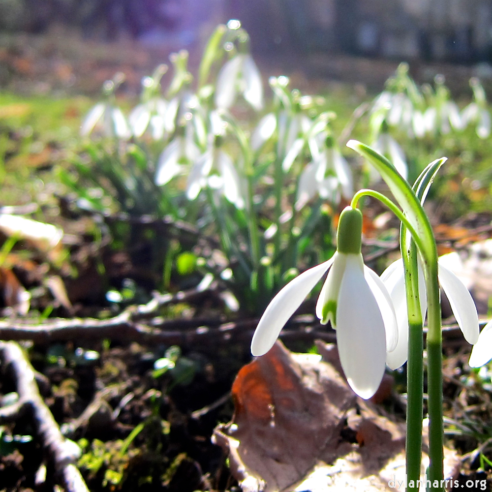 image: d&rsquo;Fr&eacute;ujoer, seng erster Schn&aacute;igl&auml;ckelchen