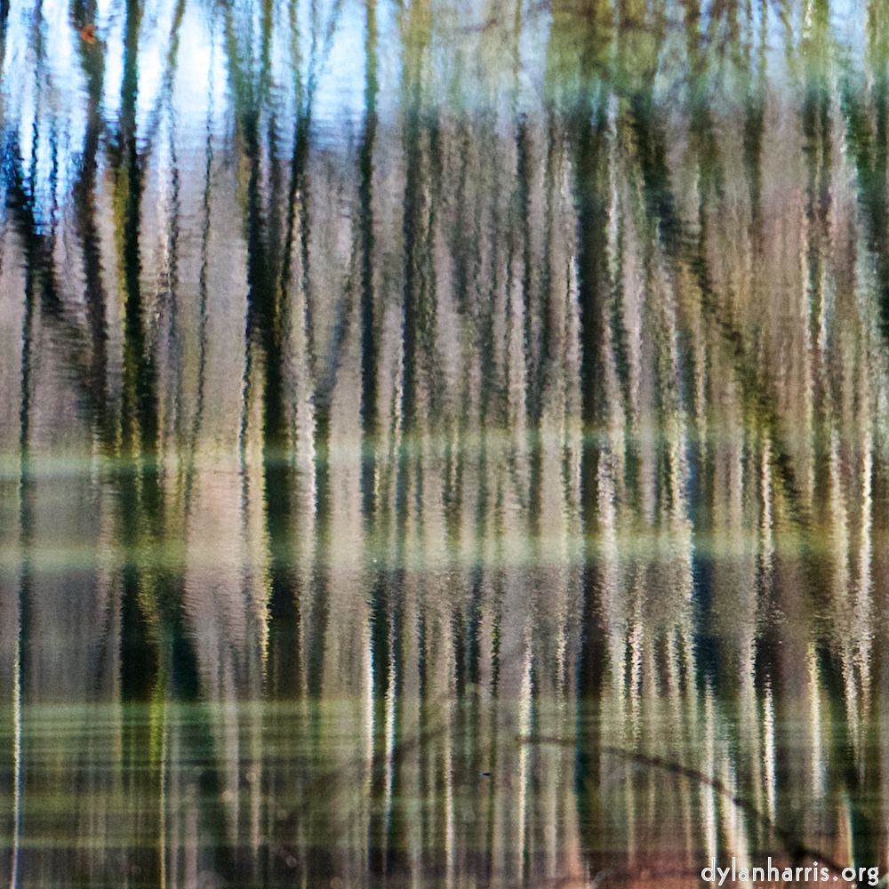 image: This is &lsquo;wood (xxxii) 7&rsquo;.