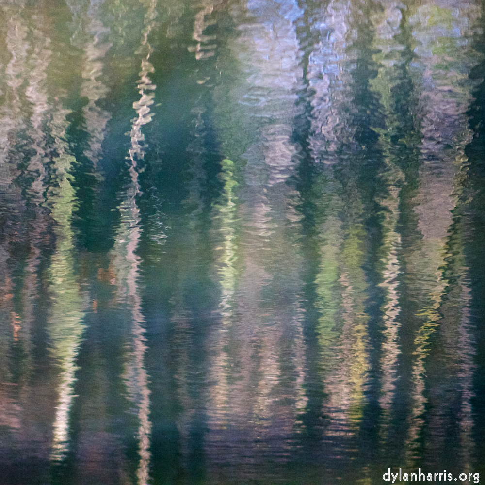 image: This is &lsquo;wood (xxxii) 8&rsquo;.