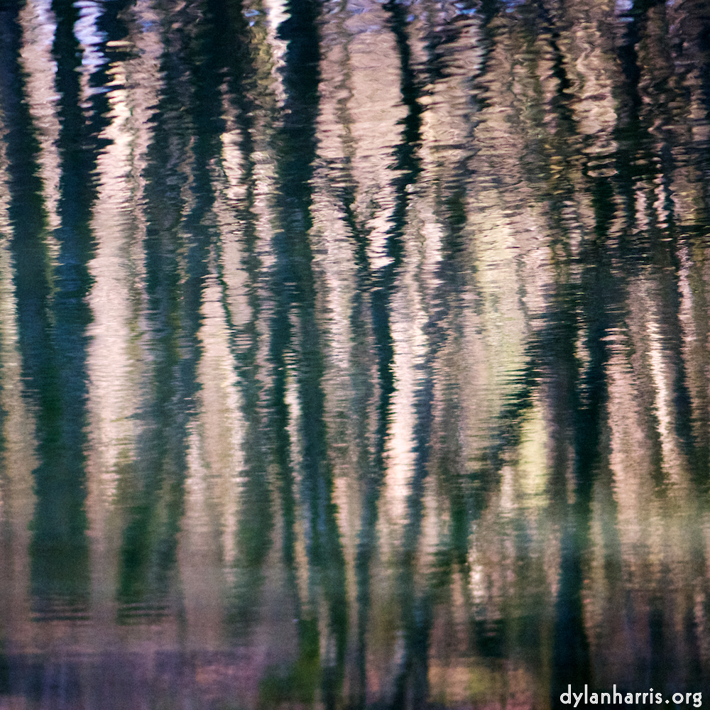 image: This is &lsquo;wood (xxxii) 9&rsquo;.