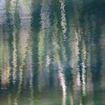 image: Image from the photoset &lsquo;wood (xxxii)&rsquo;.