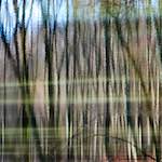 image: Image from the photoset &lsquo;wood (xxxii)&rsquo;.