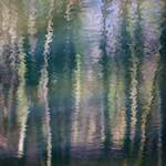 image: Image from the photoset &lsquo;wood (xxxii)&rsquo;.