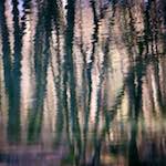 image: Image from the photoset &lsquo;wood (xxxii)&rsquo;.