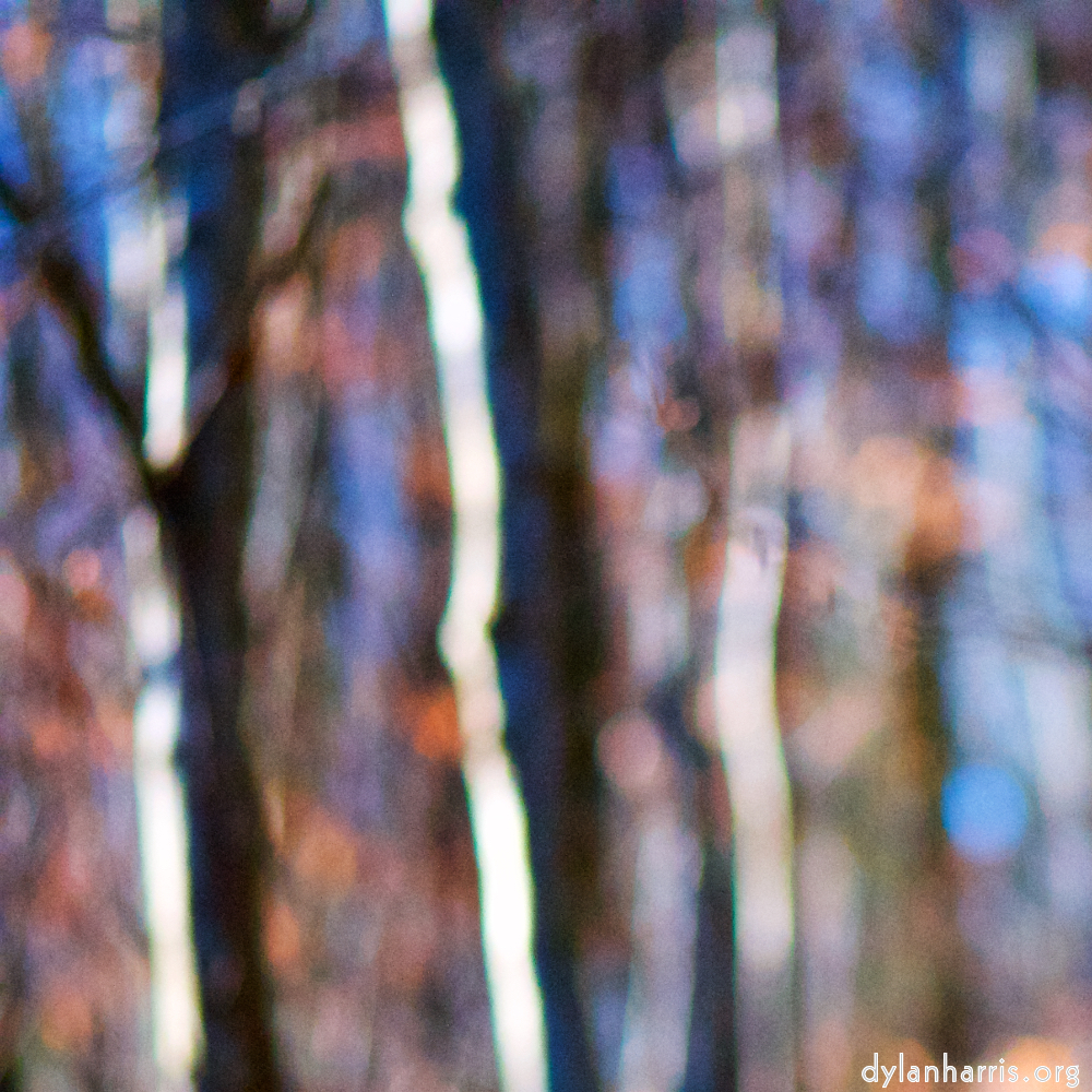 image: This is &lsquo;wood (xxxiii) 5&rsquo;.