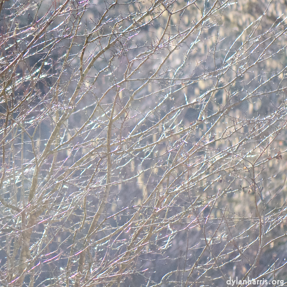 image: Voici &lsquo;texture (iv) 1&rsquo;.