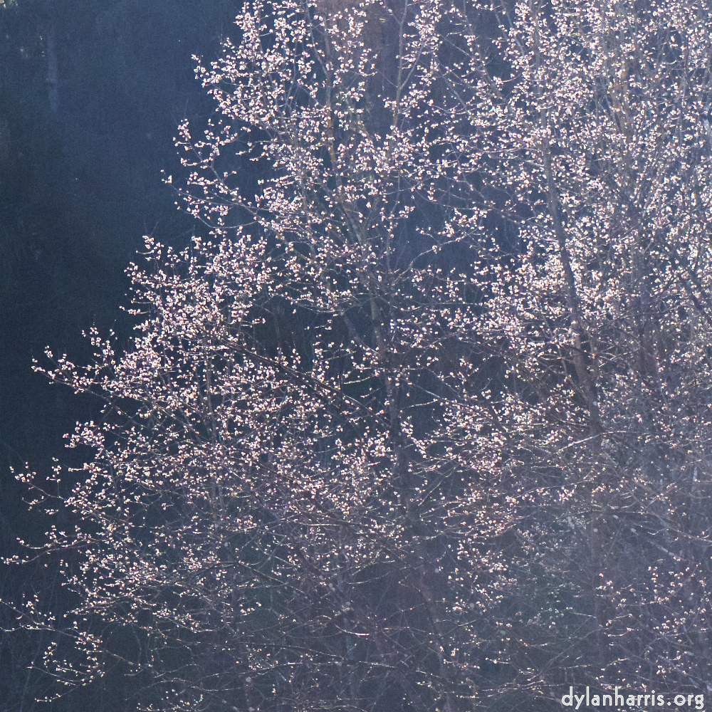 image: This is &lsquo;texture (iv) 2&rsquo;.