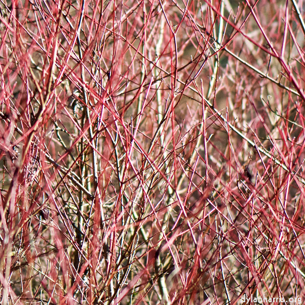 image: This is &lsquo;texture (iv) 3&rsquo;.