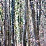 image: Image du photoset &lsquo;terres rouges (viii)&rsquo;.