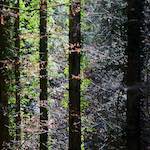 image: photoset 2019