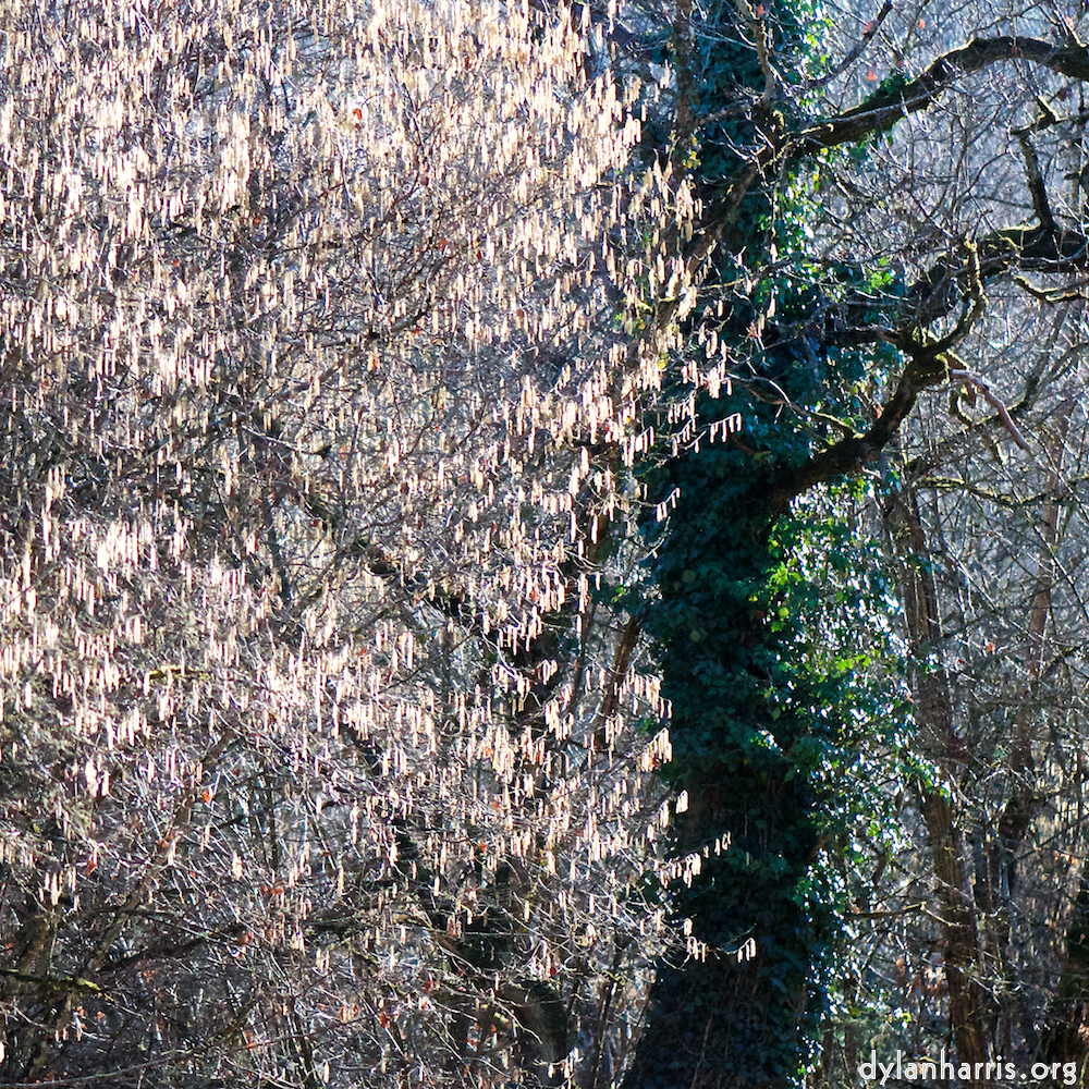 image: This is &lsquo;terres rouges (ix) 5&rsquo;.