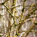 image: Image from the photoset &lsquo;terres rouges (ix)&rsquo;.