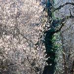 image: Image from the photoset &lsquo;terres rouges (ix)&rsquo;.