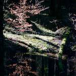 image: Image from the photoset &lsquo;terres rouges (ix)&rsquo;.