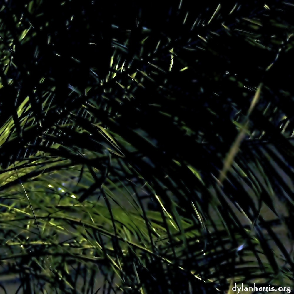 Image: Image 'ivy writers 5'.