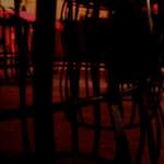 Sixth image from the photoset 'ivy writers'.