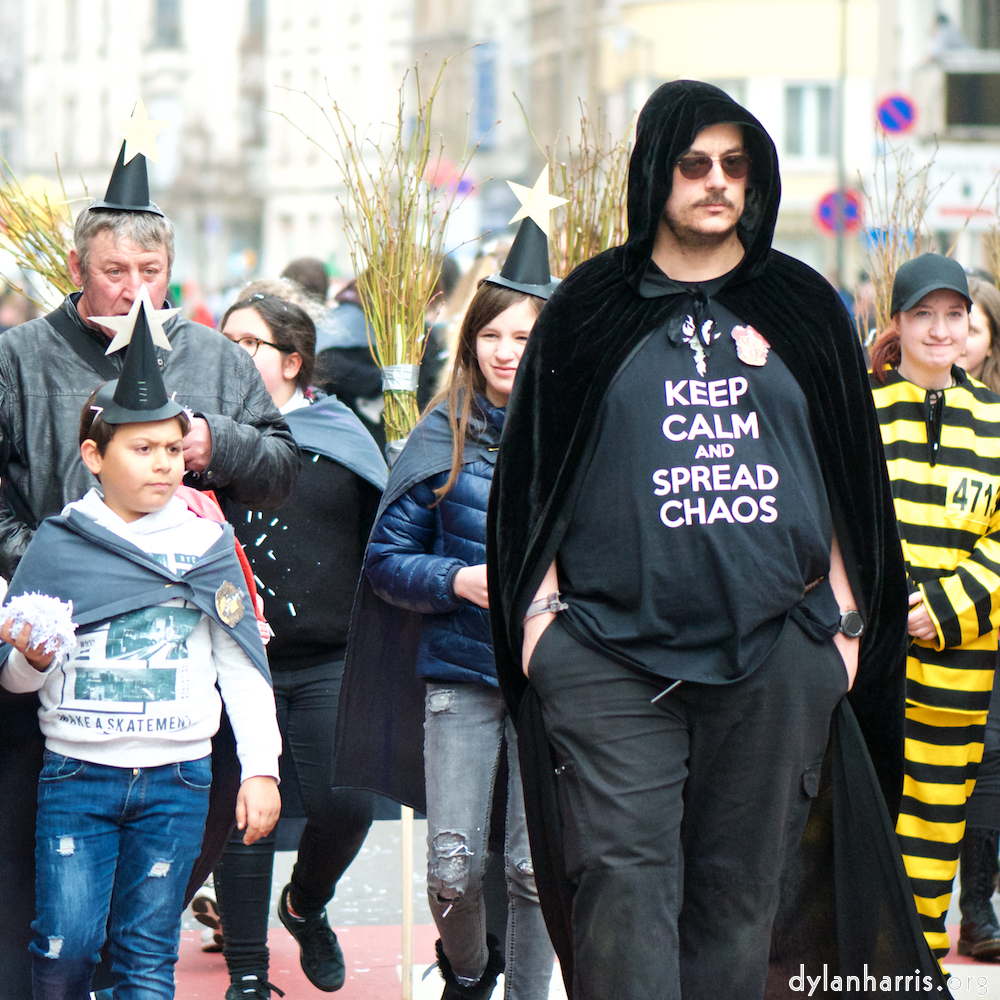 image: Image 'esch&ndash;sur&ndash;alzette (xxiv) 5', of daffodils.