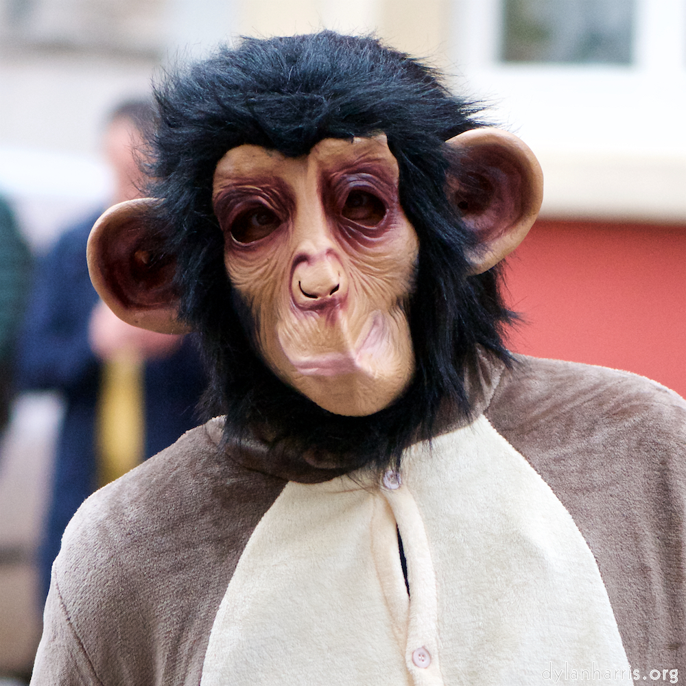 image: Image 'esch&ndash;sur&ndash;alzette (xxv) 4', at Escher D&eacute;ierepark, a doe realises I&rsquo;ve no treats.