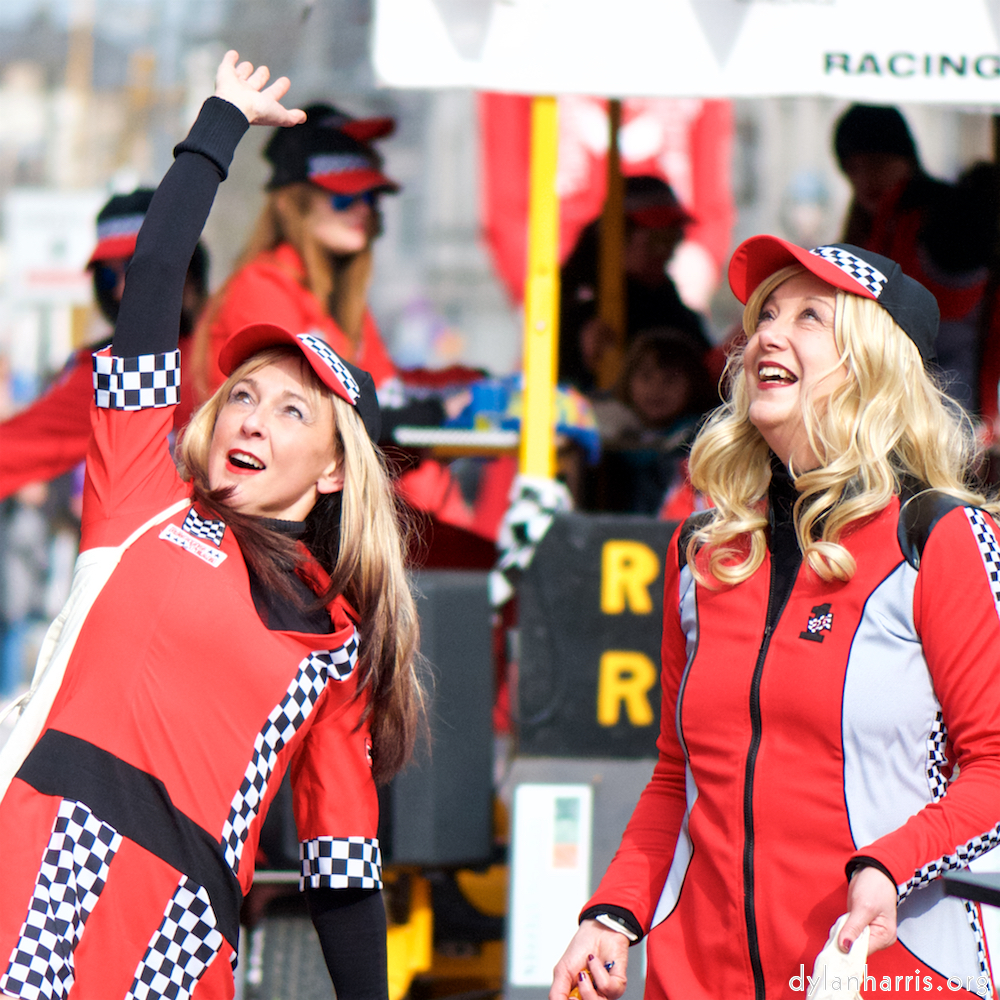 image: Image 'esch&ndash;sur&ndash;alzette (xxv) 5', of daffodils.