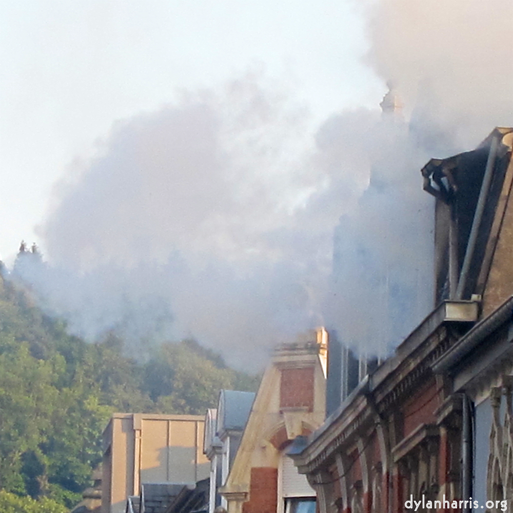 Image: Image 'esch&ndash;sur&ndash;alzette (xviii) 2', at Escher D&eacute;iereesch, head and torso of a doe.