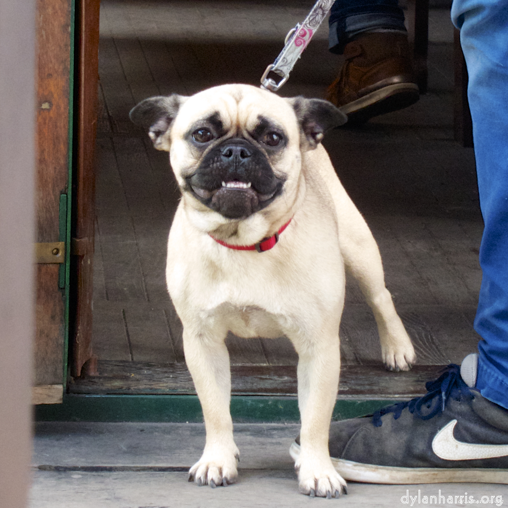 Image 'train (x) 4'.