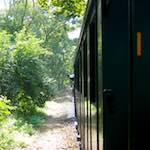 Sixth image from the photoset 'train (x)'.