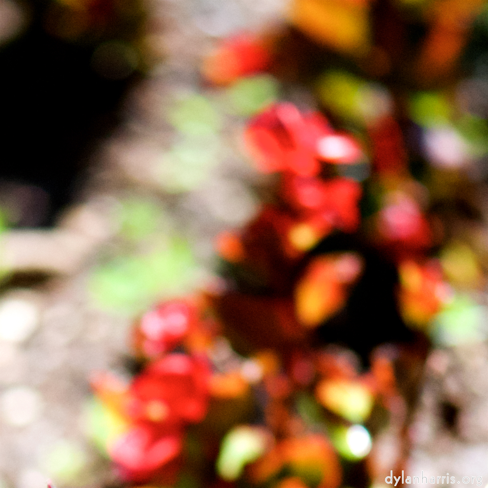 image: This is &lsquo;parc (xxxix) 1&rsquo;.