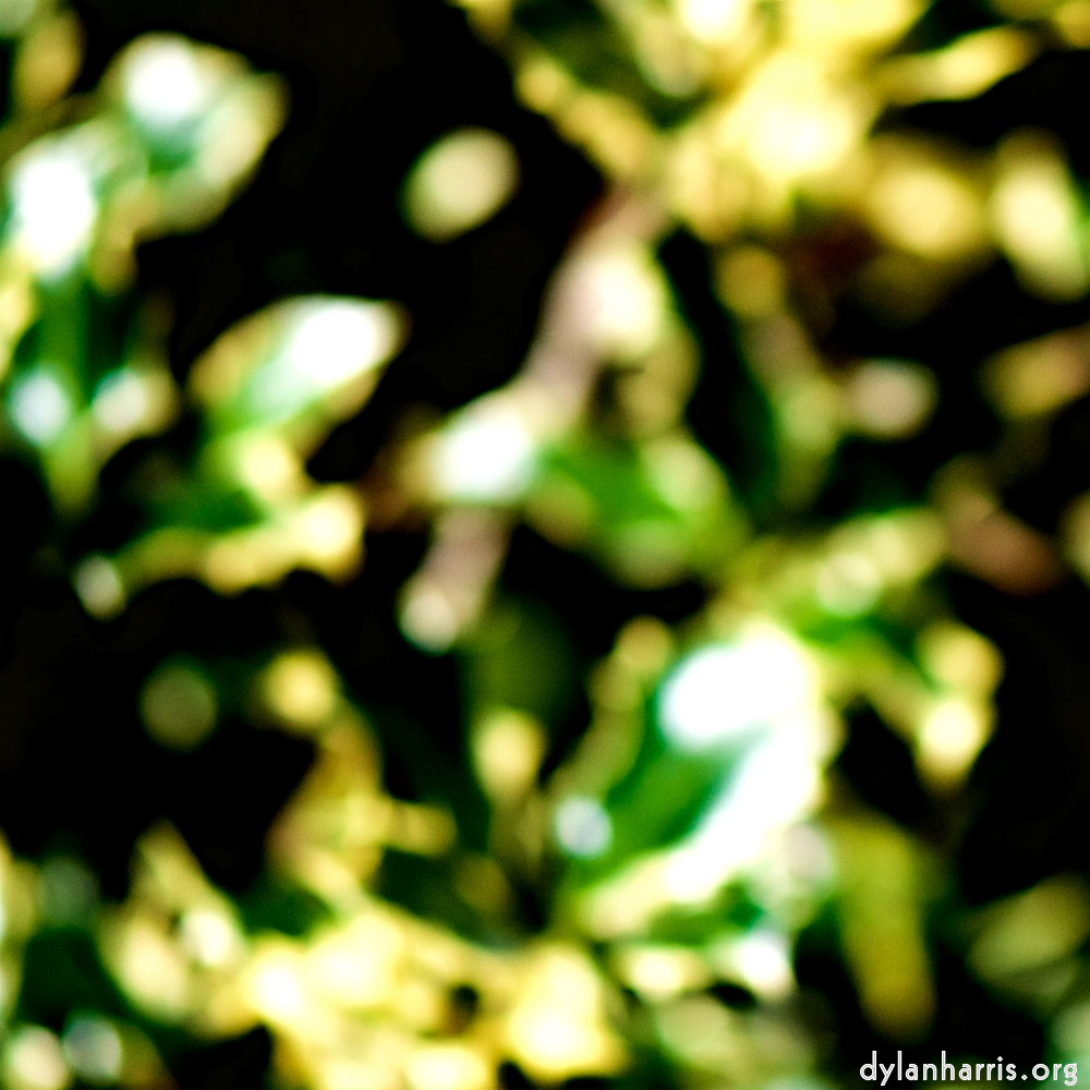 image: This is &lsquo;parc (xxxix) 2&rsquo;.