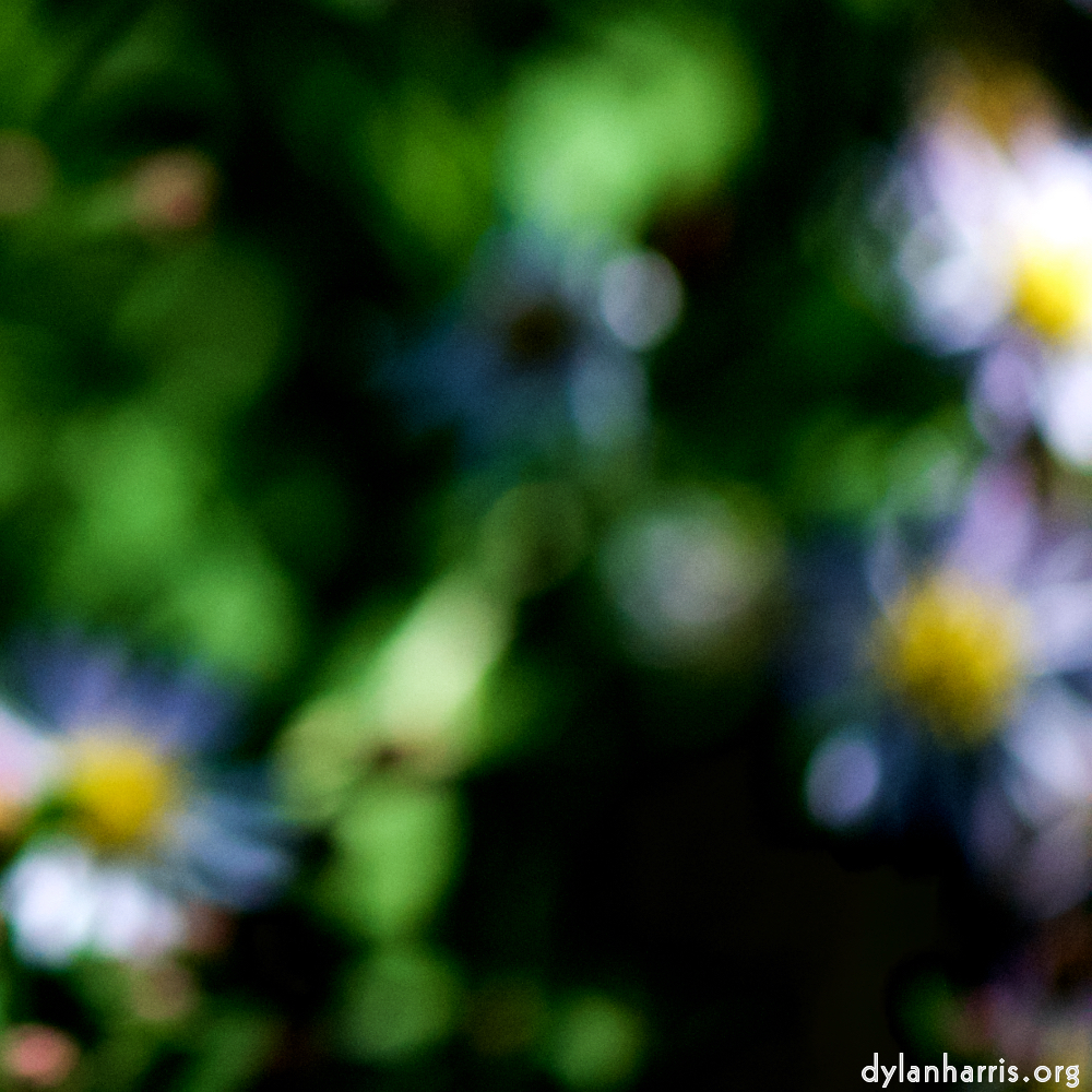 image: This is &lsquo;parc (xxxix) 3&rsquo;.