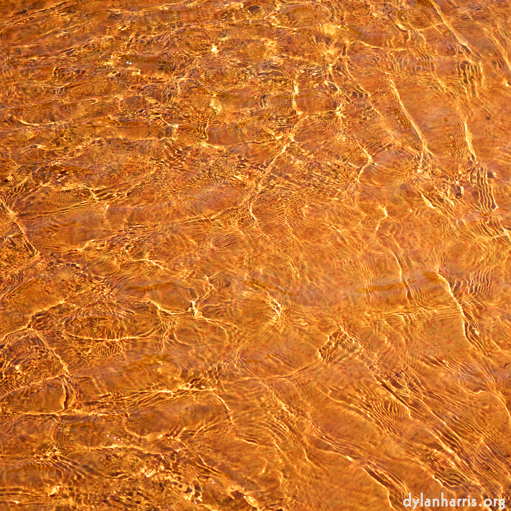 image: This is &lsquo;parc (xxxix) 4&rsquo;.