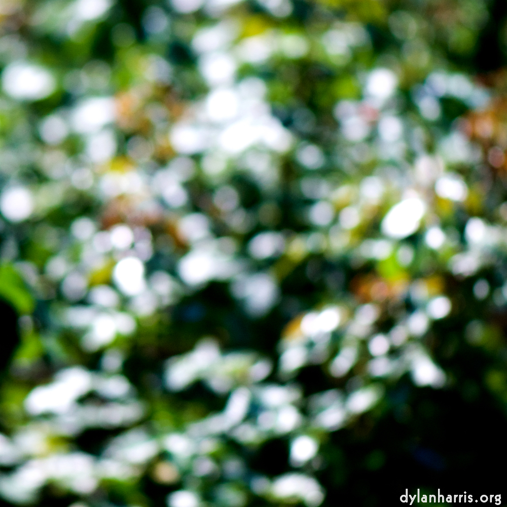 image: This is &lsquo;parc (xxxix) 7&rsquo;.