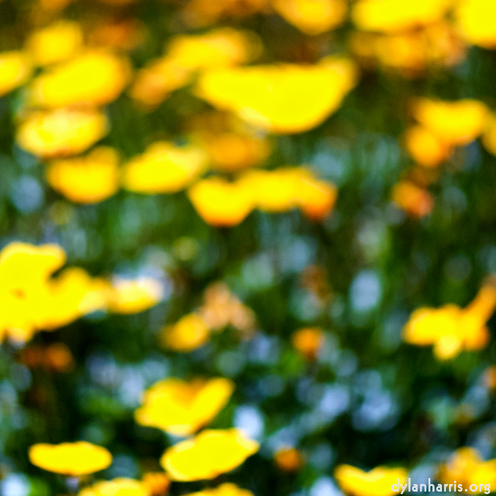 image: This is &lsquo;parc (xxxix) 8&rsquo;.