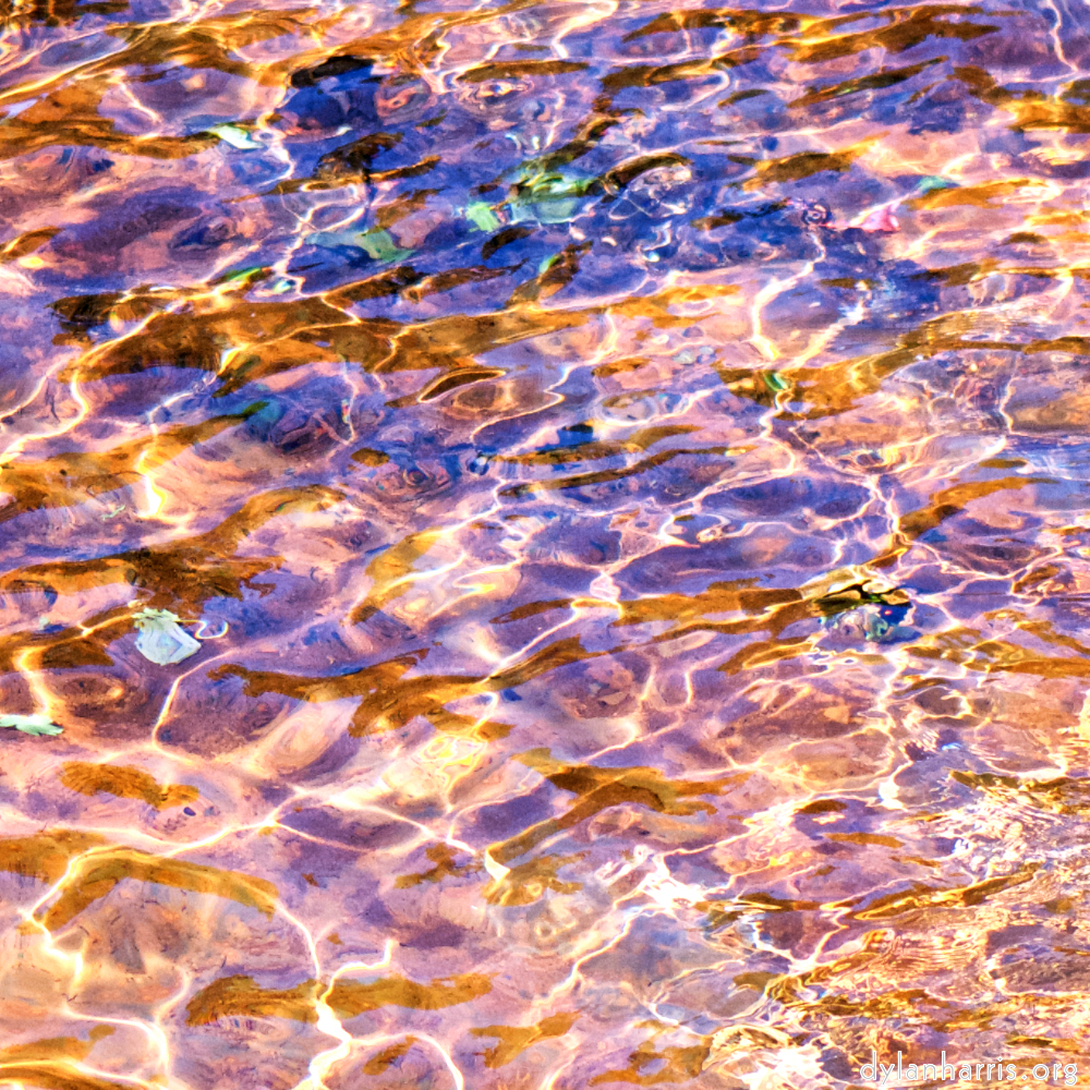 image: This is &lsquo;parc (xxxix) 9&rsquo;.