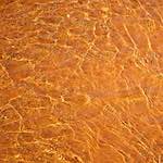 image: Image from the photoset &lsquo;parc (xxxix)&rsquo;.